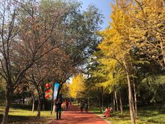 -城市运动公园(未央区)
