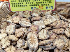 -中国农业博物馆