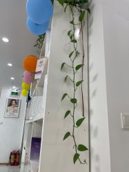 -瓷肌博士·祛痘科技美肤