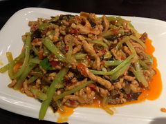 -陈麻婆豆腐总店