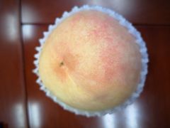 -南汇水蜜桃采摘(大团店)