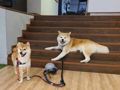 -YCHL Studios健身工作室(市二宫店)