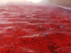 -春晖园度假酒店温泉