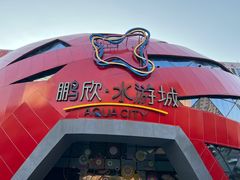 -鹏欣水游城