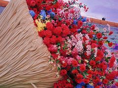 -荷兰花海