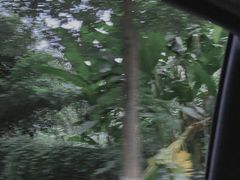 -三圣花乡旅游区