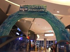 -暹罗海洋世界
