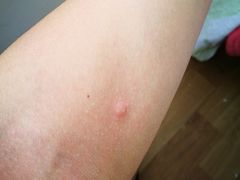 -青岛东方影都融创水世界