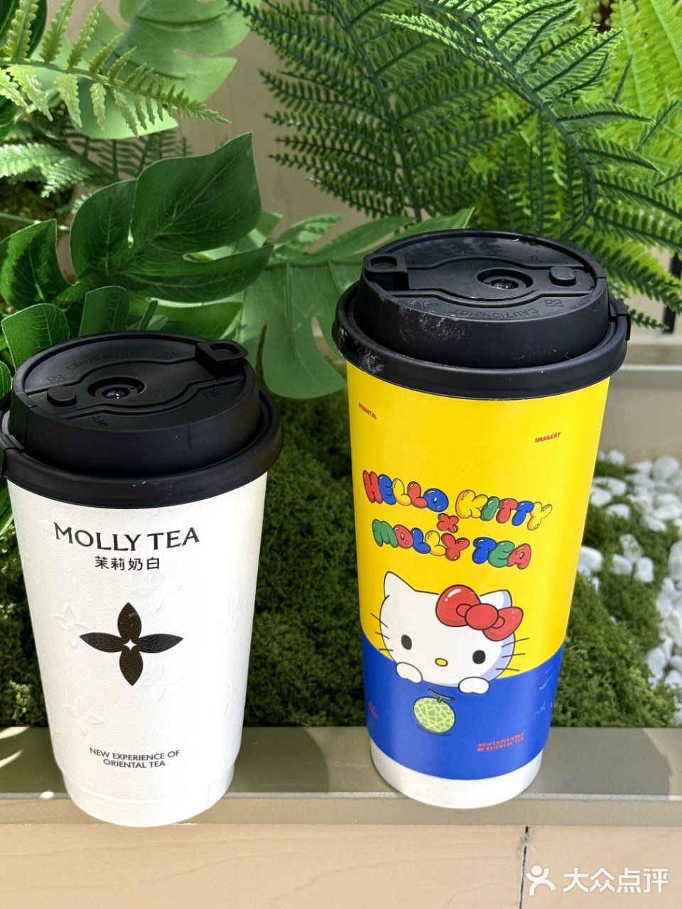 今天的情绪价值是茉莉奶白给的