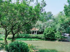 -火炉山森林公园