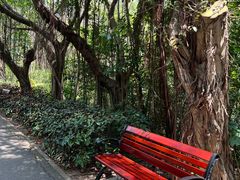 -深圳国际园林花卉博览园