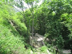 -大岭沟猕猴桃谷风景区