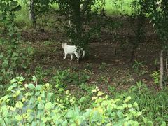 -白渔泡湿地公园