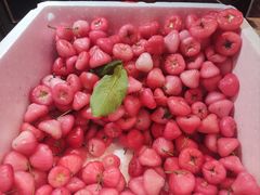 -老炳·七丛松甘草水果