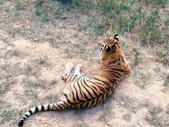 -大连森林动物园