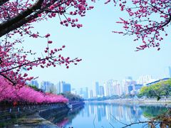 -望江楼公园