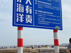 -奉贤海滩