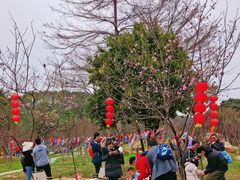 -广州市帽峰山景区