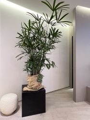 -LB·海菲秀牛奶光官方体验中心