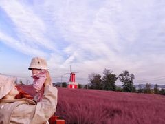 -羊亭河湿地公园