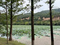 -黄河小浪底水利枢纽风景区