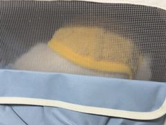 -半岛宠物医院24小时(白果林店)
