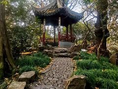 -秋霞圃