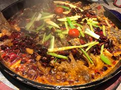 -老板恋上鱼(恒隆广场店)