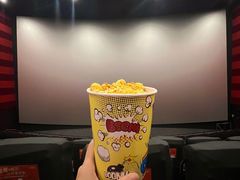 -华谊兄弟影院(IMAX洋桥店)