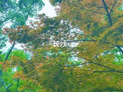 -岳麓山风景名胜区