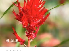 -北科婴幼学苑