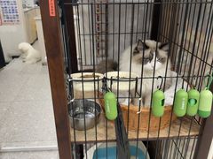 -四月宠物医院·猫专科·心脏专科·内科(转塘店)