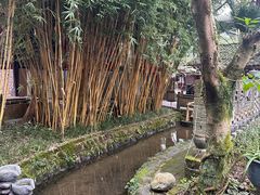 -土砂锅生态山庄·非遗砂锅雅鱼