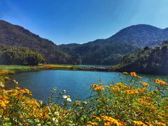 -广州市石门国家森林公园