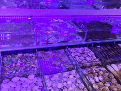-青蓬蒸汽海鲜·深圳老字号·团建聚会(壹方城店)