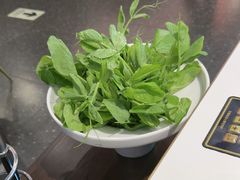 -烹然四季椰子鸡火锅(姚家园万象汇店)
