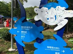 -广东惠东海龟国家级自然保护区