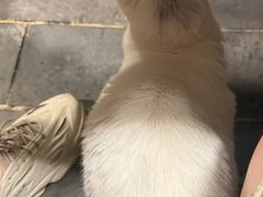 -张记牛肉面馆(天津路店)