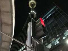 -悉尼塔旋转餐厅