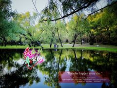 -上海共青森林公园