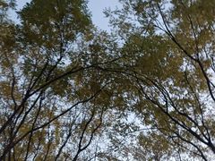-迎泽公园