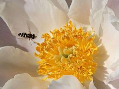 -沕沕水生态风景区