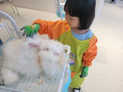 -怪兽屋·羊驼·猫咖·狗咖(俊华广场店)