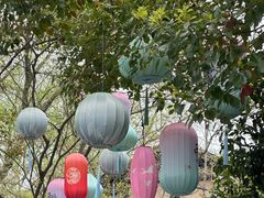 -西溪国家湿地公园