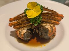 -蝶园·装修中(BFC外滩金融中心店)