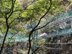 -藏龙百瀑风景区