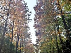 -狼山风景名胜区