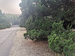 -廖仲恺何香凝墓
