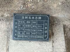-晋祠公园