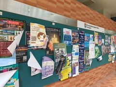 -香港大学